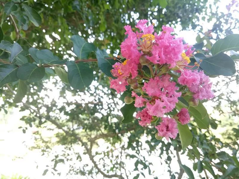 绿水青山，联翩而至，巅峰娱乐官方网站2018云浮之旅